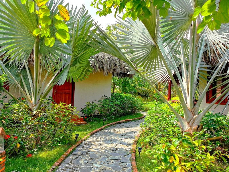 MK05: HOMESTAY & COOKING IN MEKONG