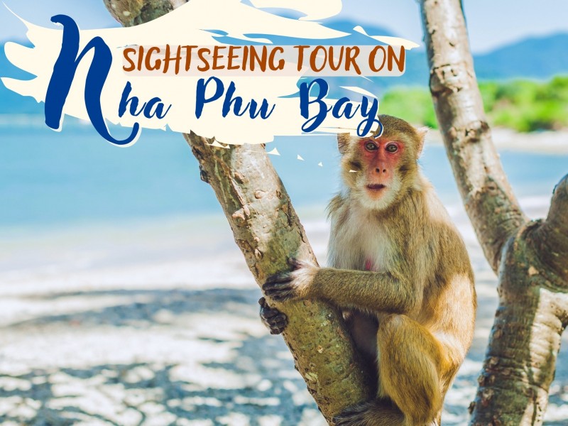 NT06: Sightseeing tours on Nha Phu bay