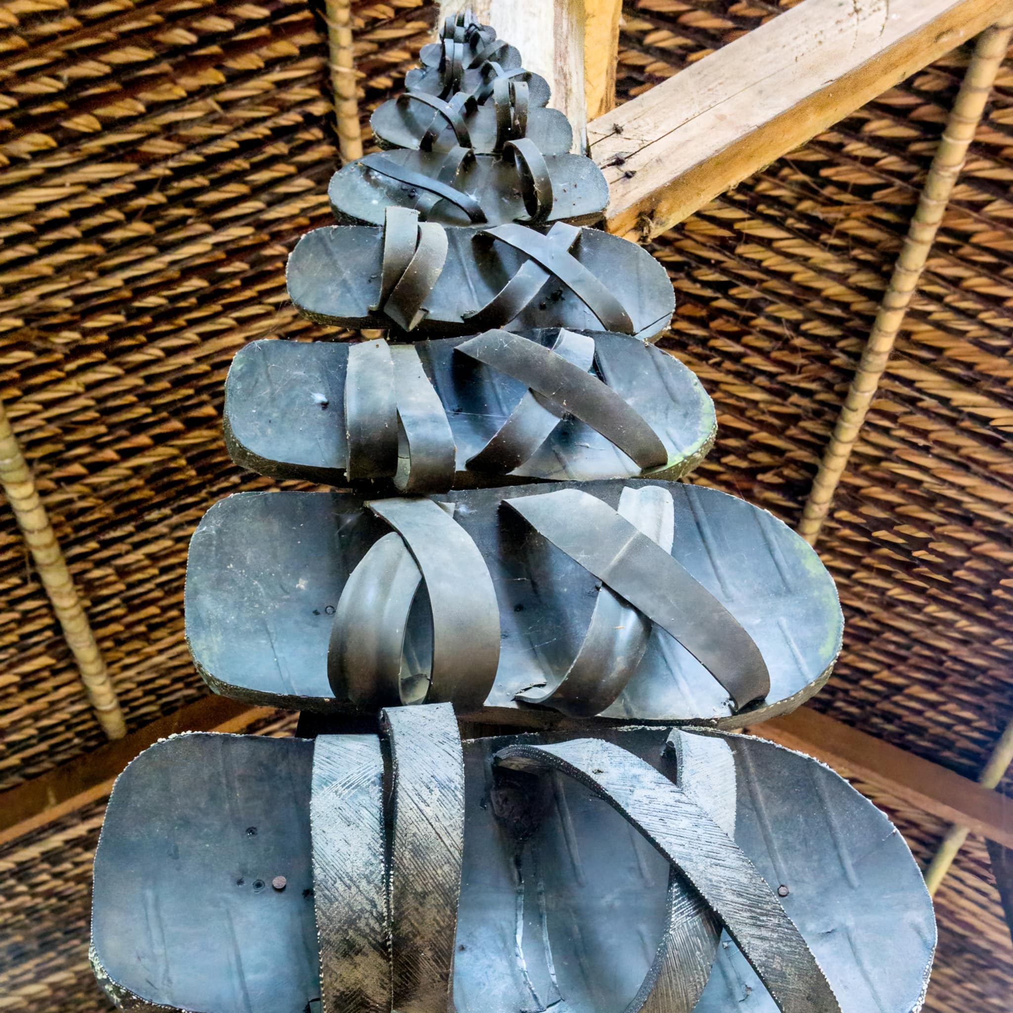 SG02: 古芝半天游