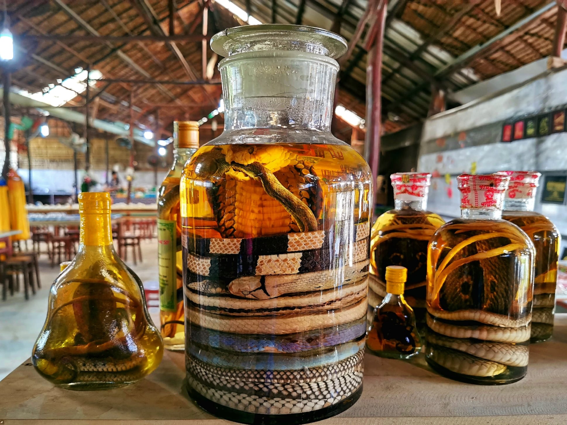 MK06: CAMBODIA TOUR VIA MEKONG (CAI BE - CHAU DOC)
