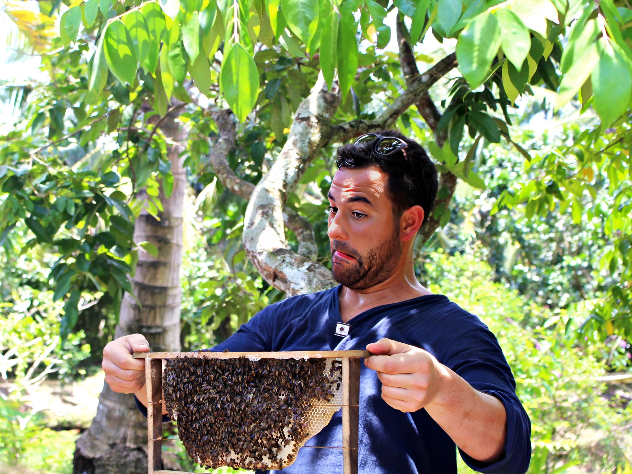 MK07: MEKONG ONE DAY TOUR - BEN TRE COCONUT KINGDOM