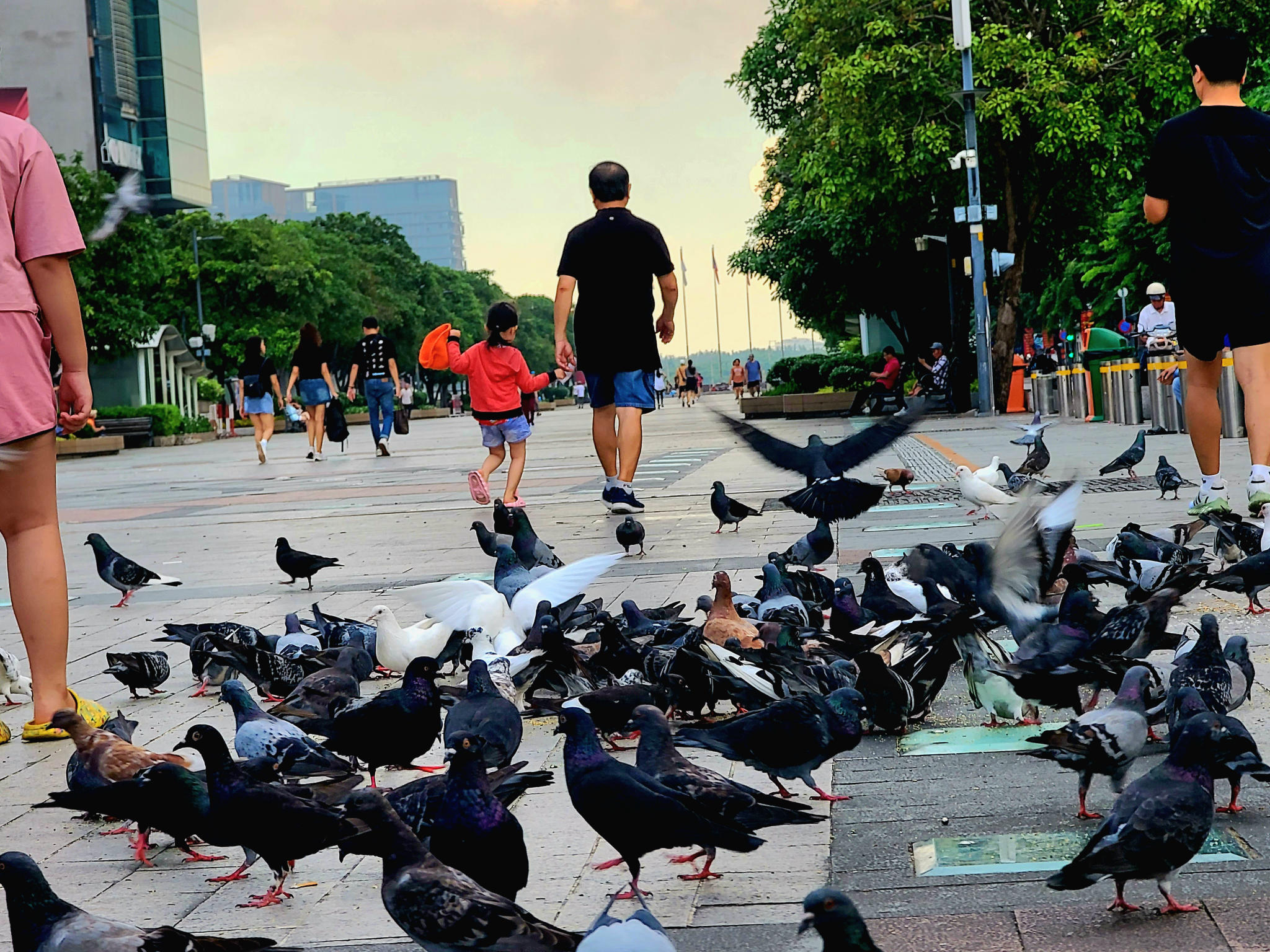 SG07: 半天旅游城市