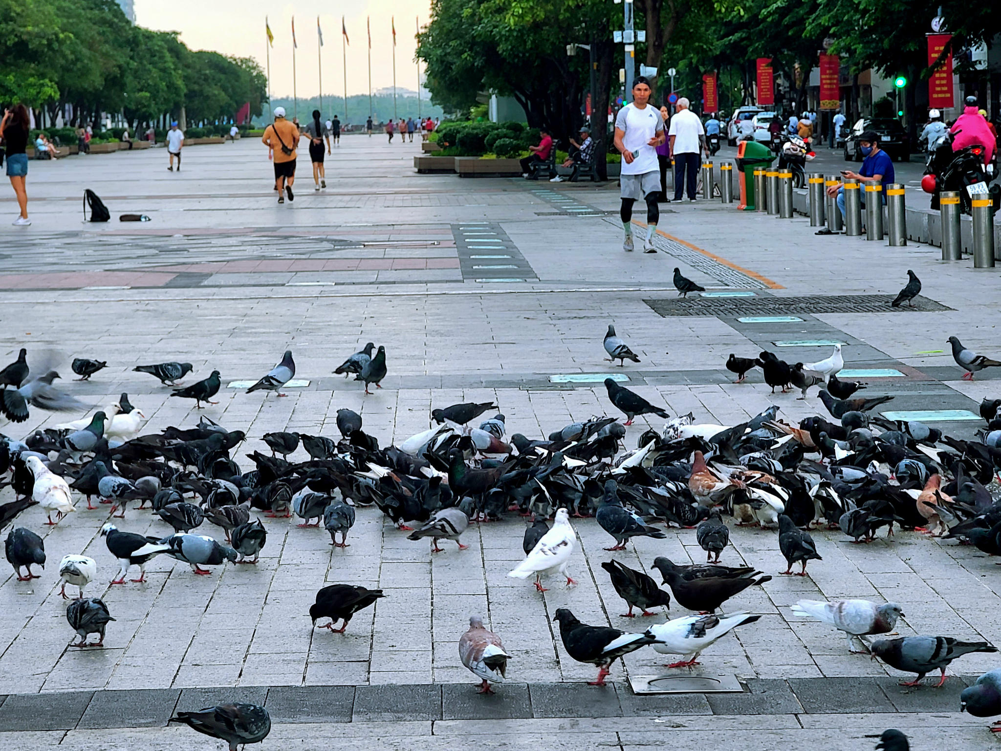 SG22: GOOD MORNING SAIGON HALF DAY CITY TOUR