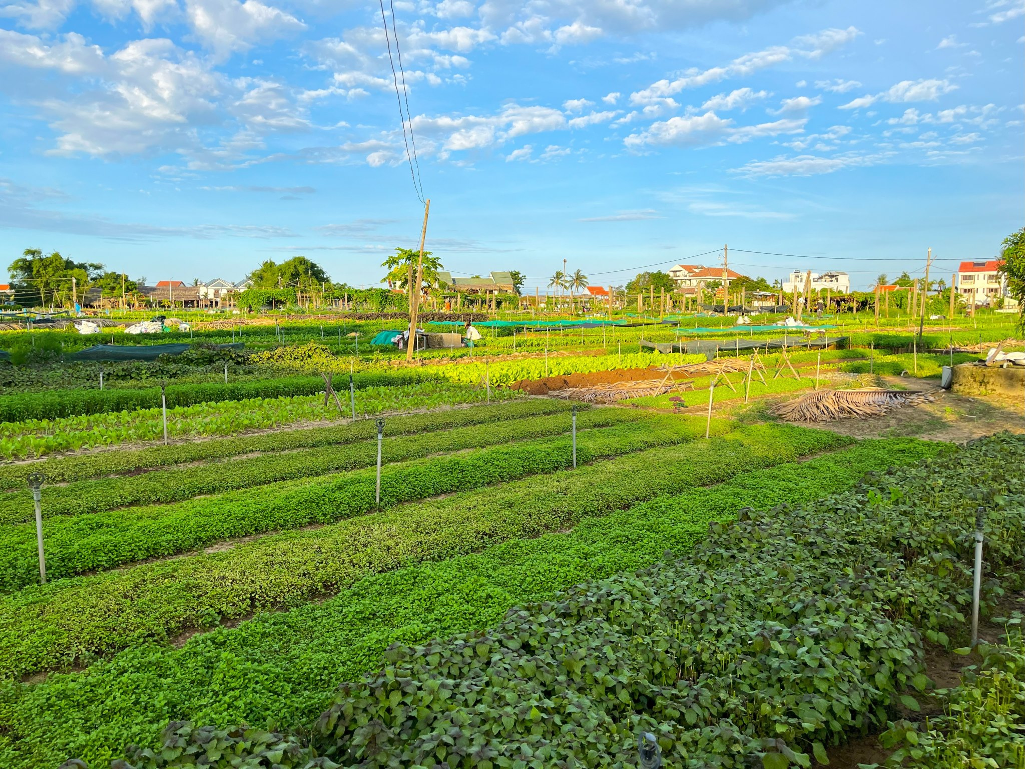 HU01 : 清华 – 会安 （整天）