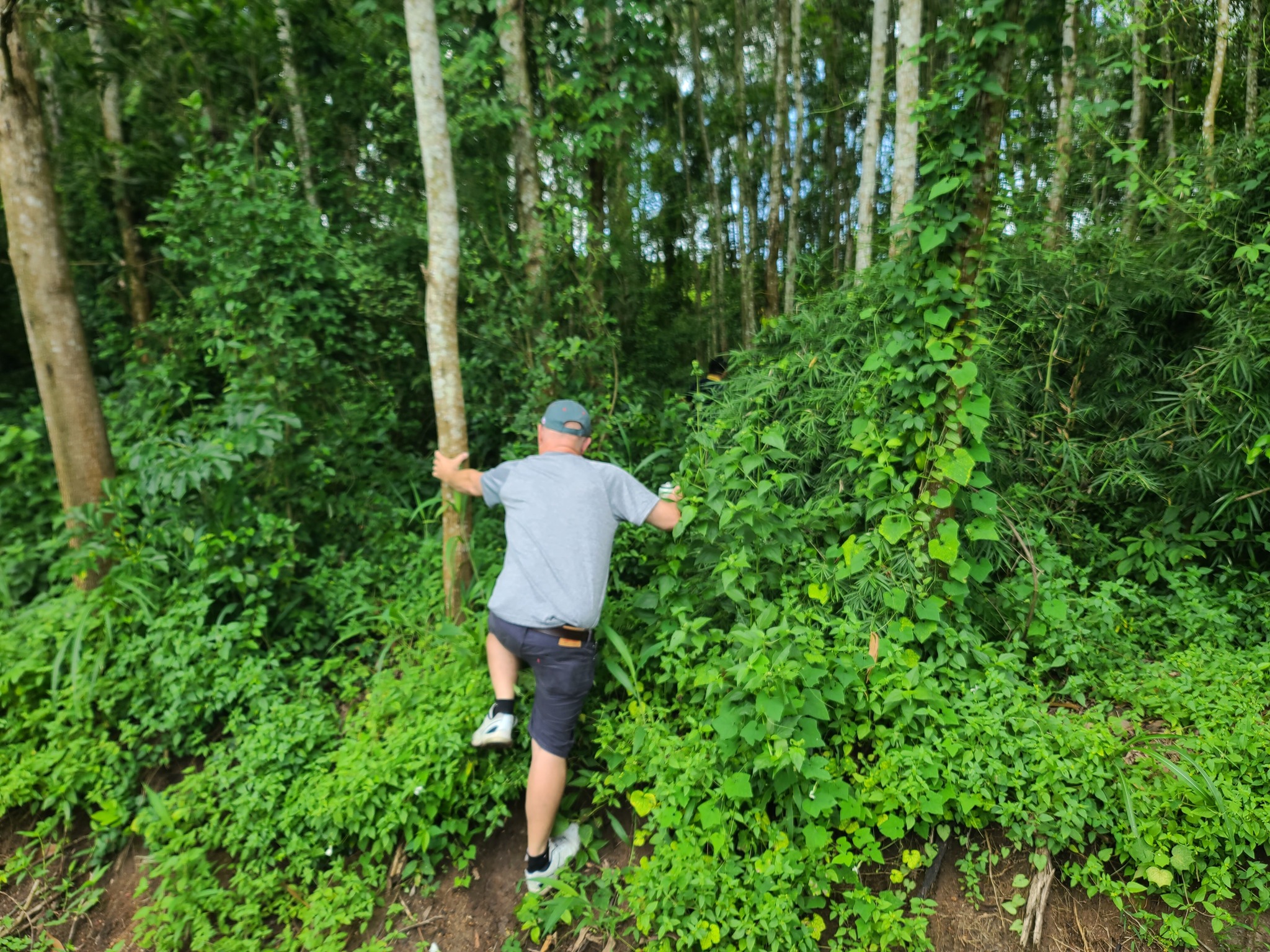 SG03: 龙潭 – NUI DAT 战场