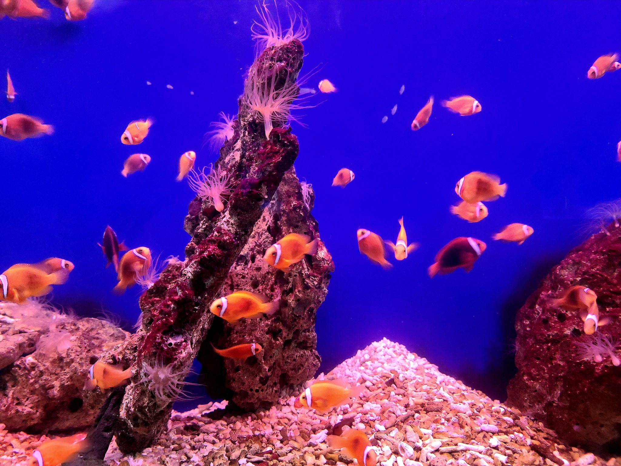 BK02: NHA TRANG 4 DAYS 3 NIGHTS