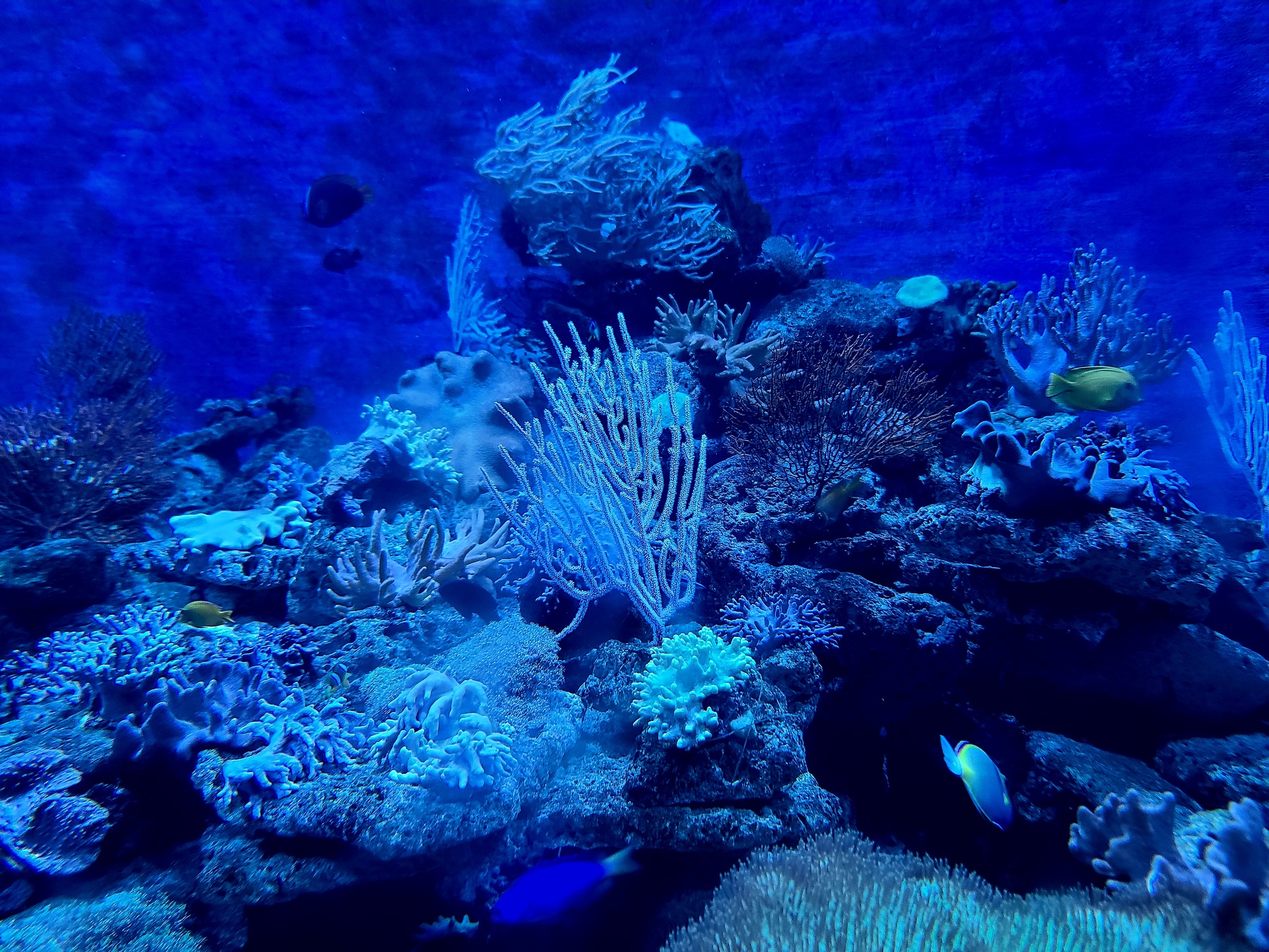 NT05: NHA TRANG FLYBOARD - FANTASTIC EXPERIENCE