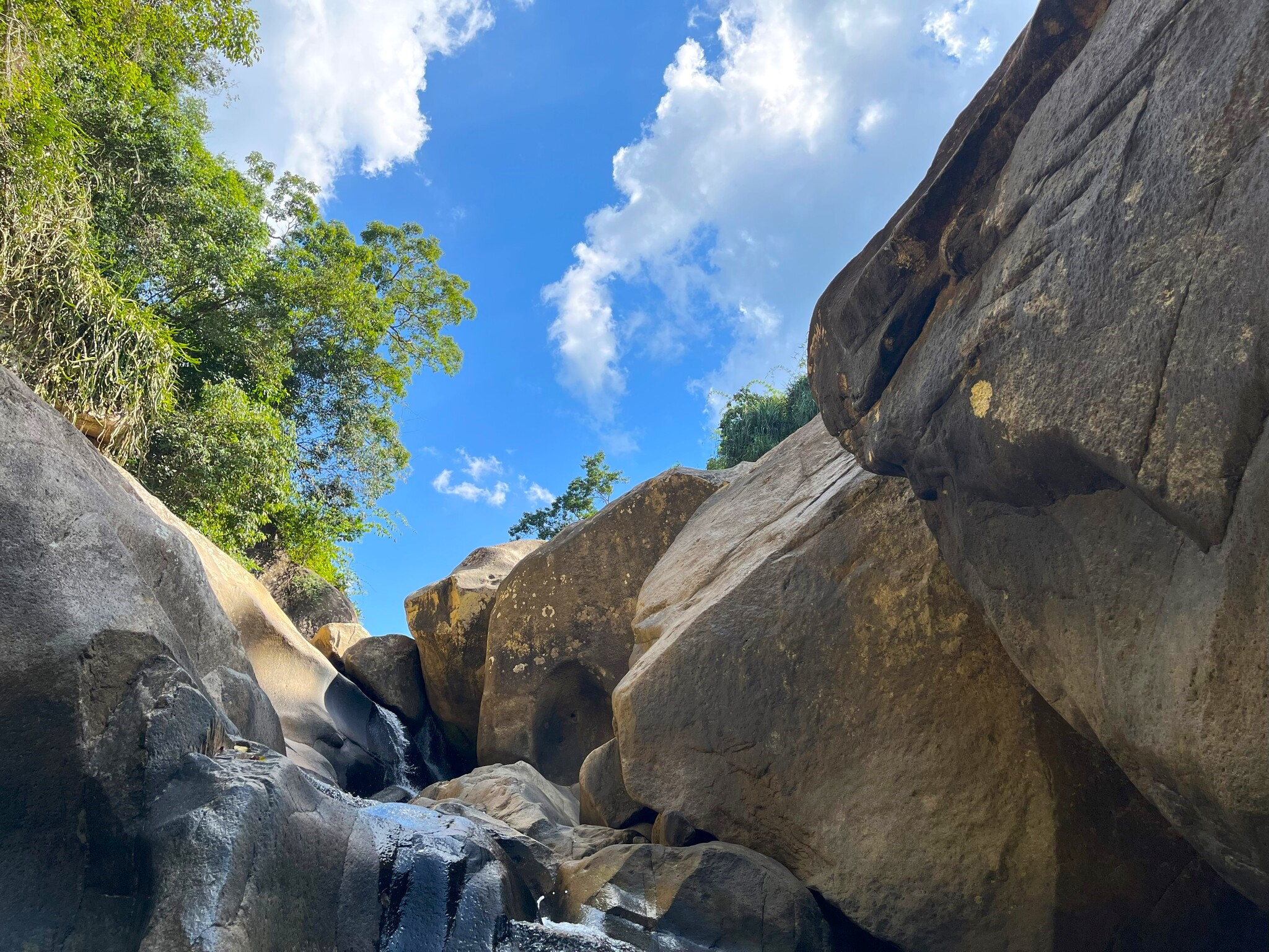 NT02: NHA TRANG CITY ONE DAY TOUR