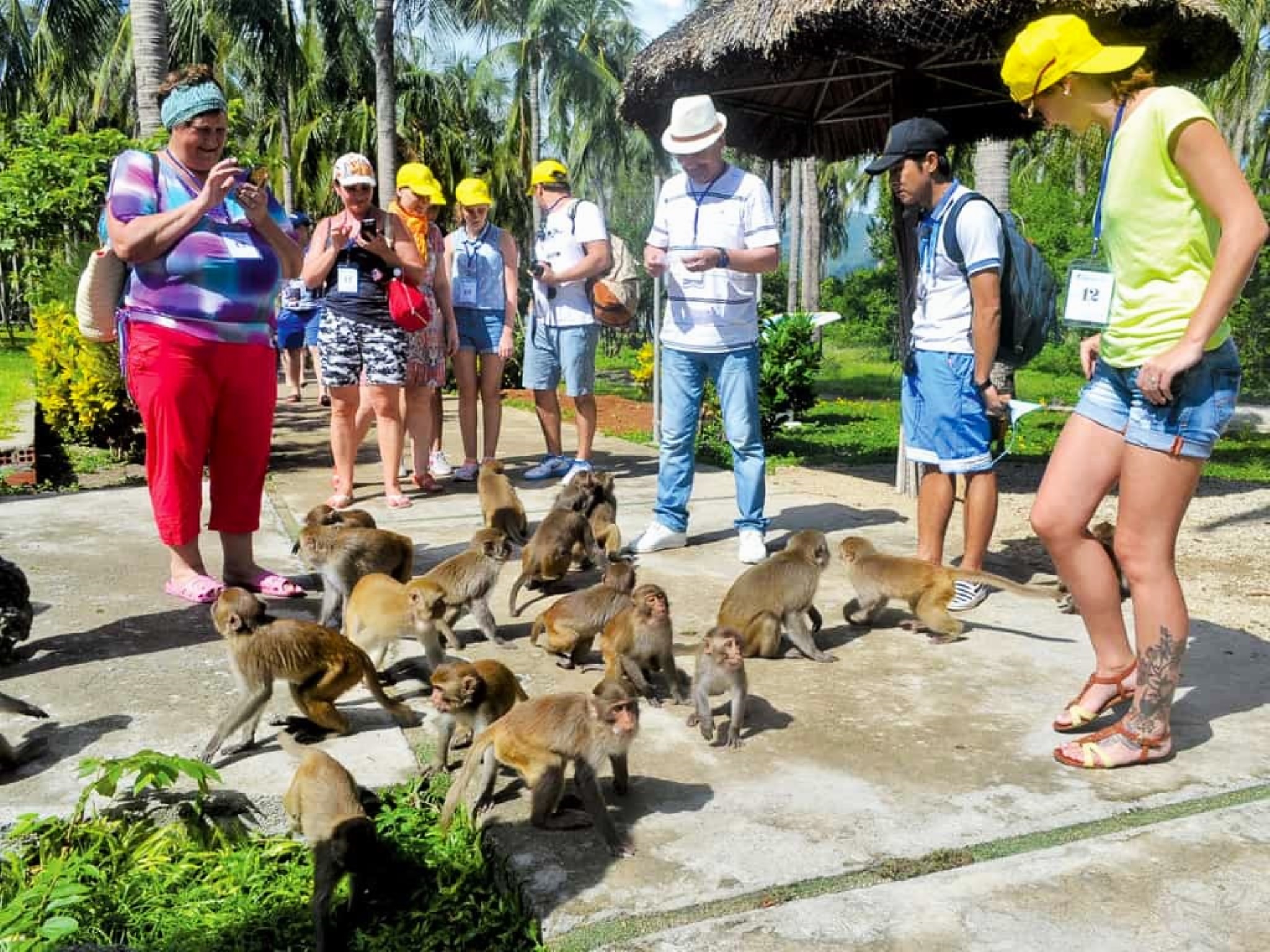 NT06: Sightseeing tours on Nha Phu bay