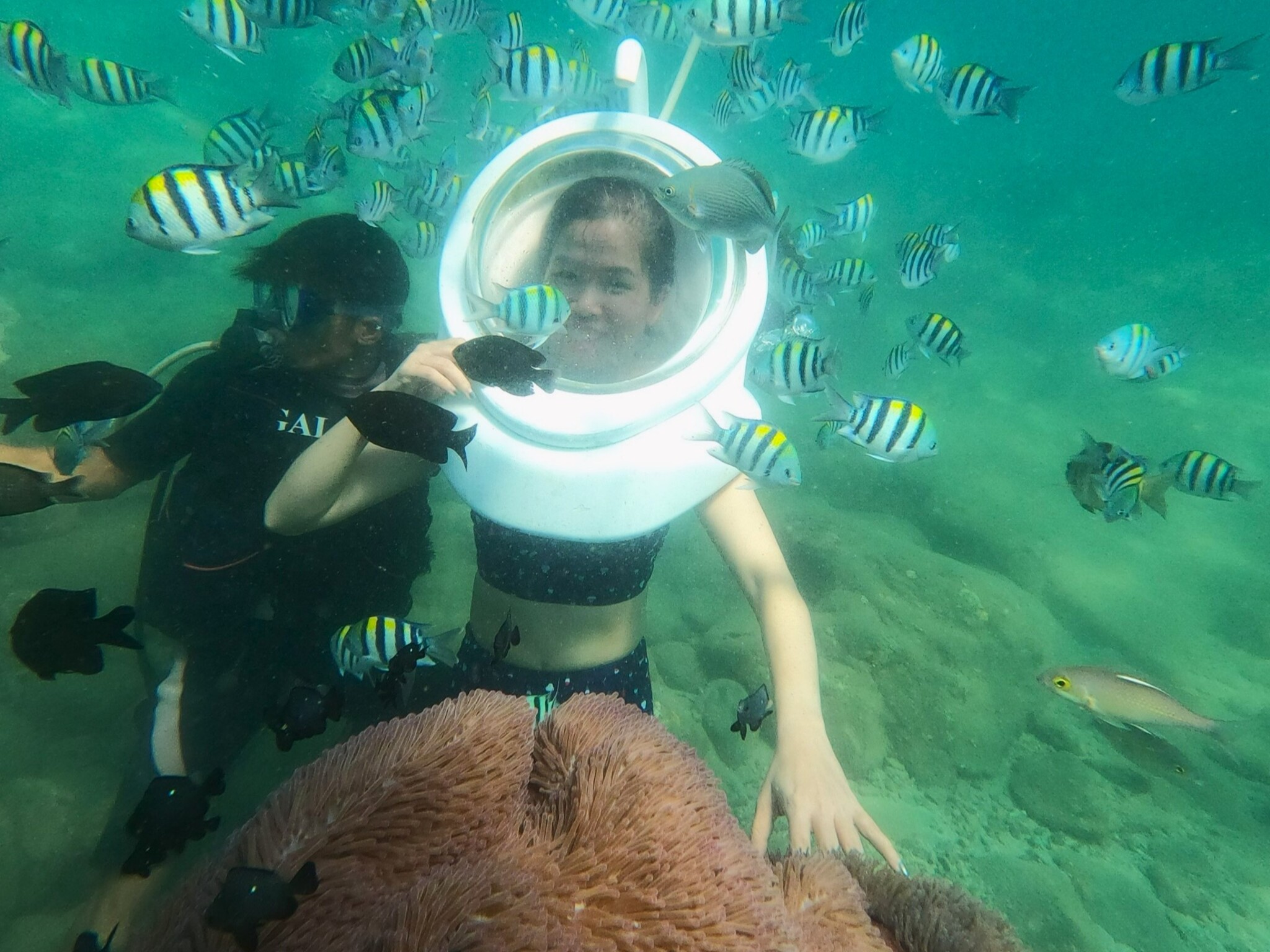 NT05: NHA TRANG FLYBOARD - FANTASTIC EXPERIENCE